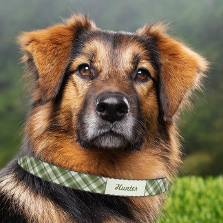 Green Plaid Pattern With Custom Pet Name Pet Collar