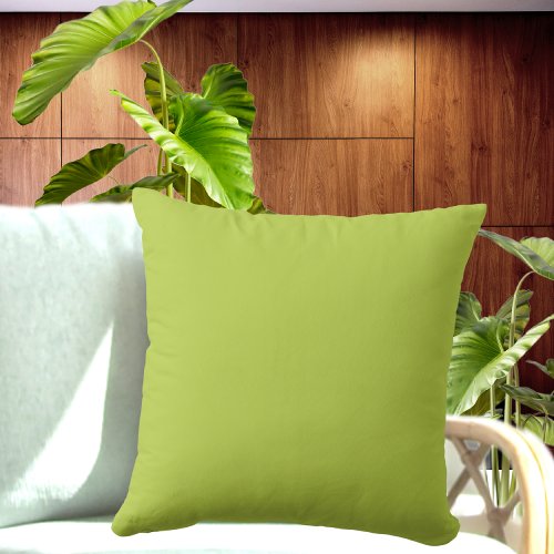 Green Plain Solid color pillow