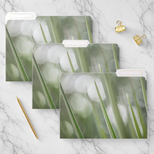 Green Plant Nature Photo File Folder