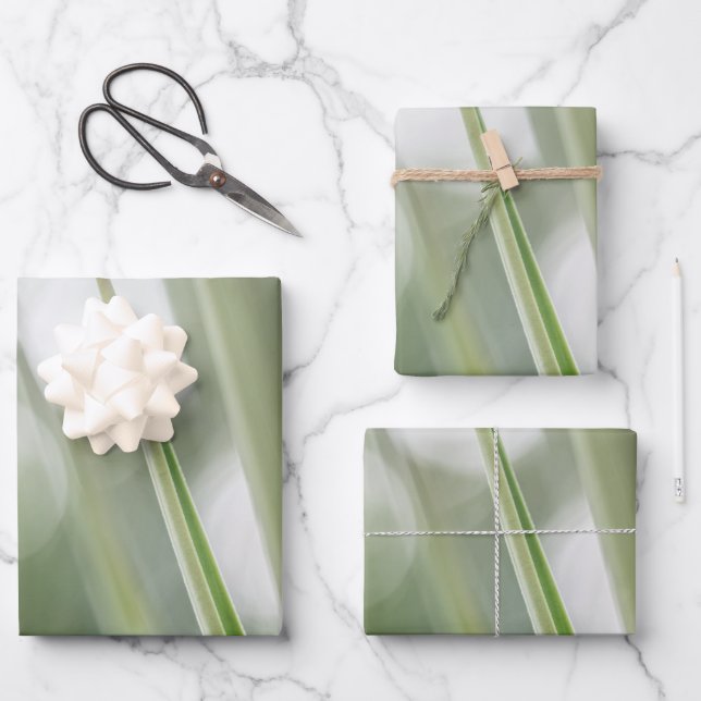 Green Plant Nature Photo Wrapping Paper Sheets (Front)