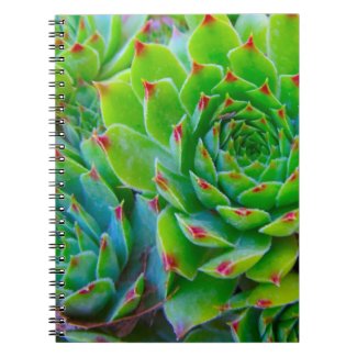 Green Plant Notebook
