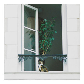 GREEN PLANT ON WHITE WINDOW FAUX CANVAS PRINT