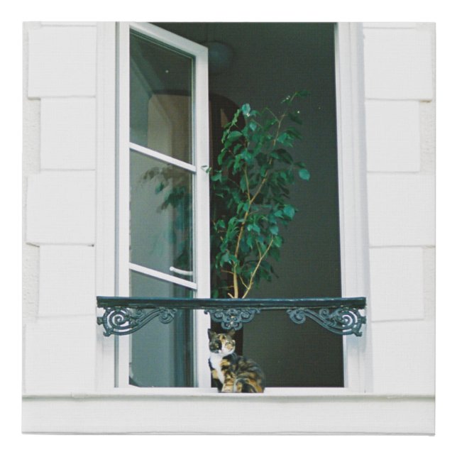 GREEN PLANT ON WHITE WINDOW FAUX CANVAS PRINT (Front)