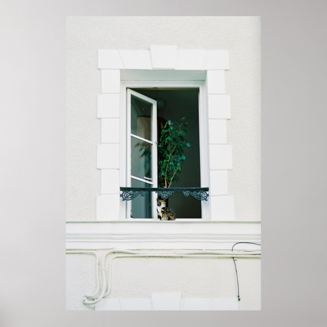 GREEN PLANT ON WHITE WINDOW POSTER (Front)
