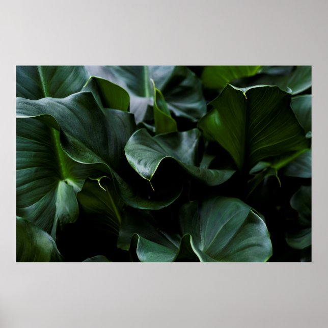 GREEN PLANT POSTER (Front)
