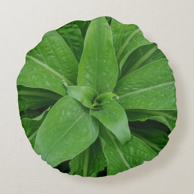 Green Plant Round Pillow (Back)