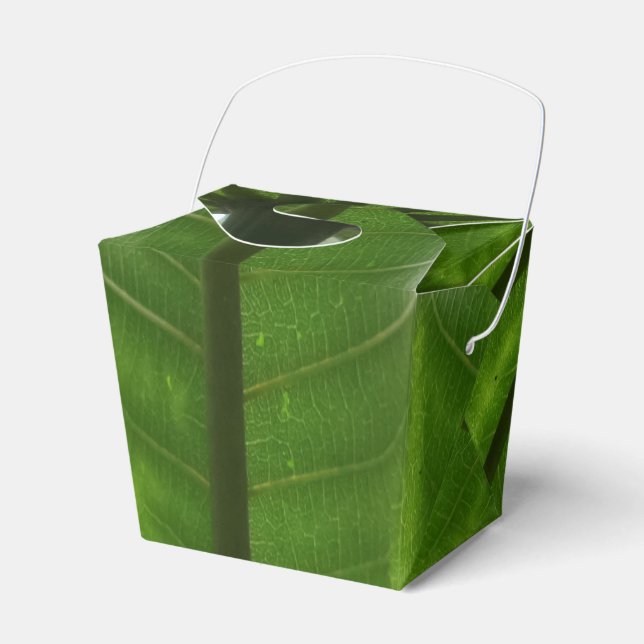 Green Plant Take Out Favor Box (Front Side)