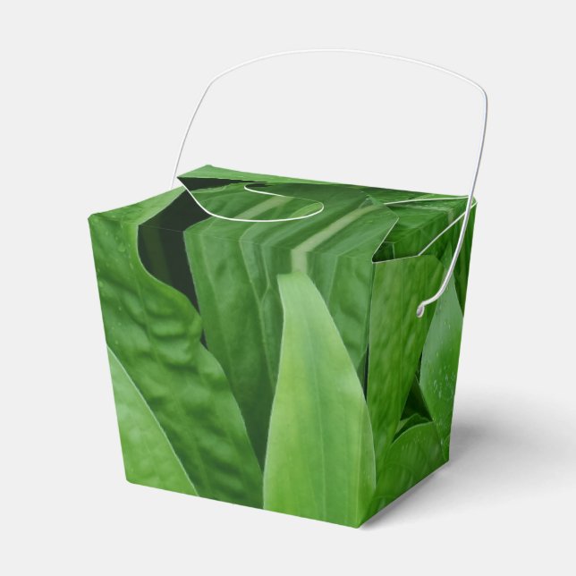 Green Plant Take Out Favor Box (Front Side)