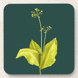 Green Plant Wild Garlic Botanical Beverage Coaster