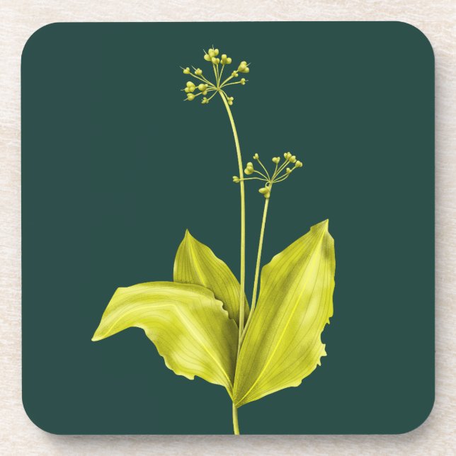 Green Plant Wild Garlic Botanical Beverage Coaster (Front)