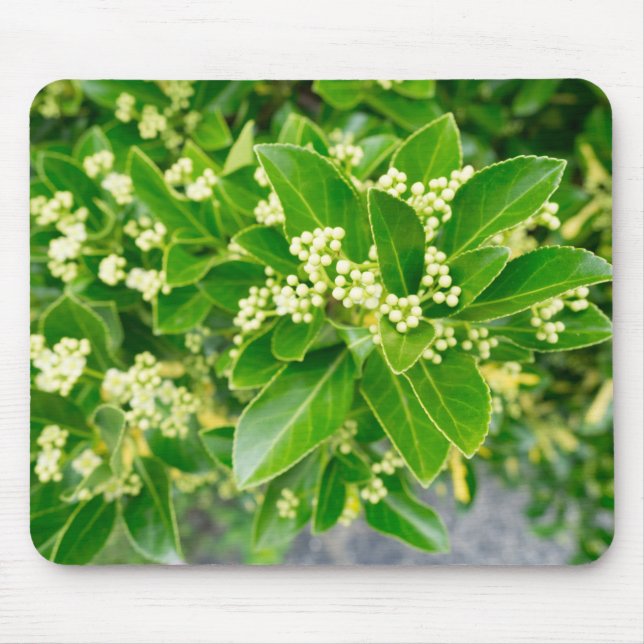 green plants beauty mouse pad (Front)