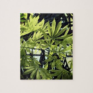 Green Plants, Foliage 