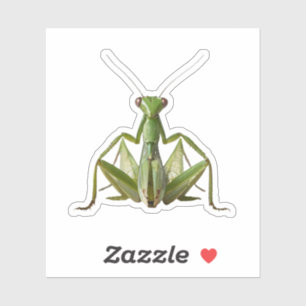 Green Praying Mantis Sticker