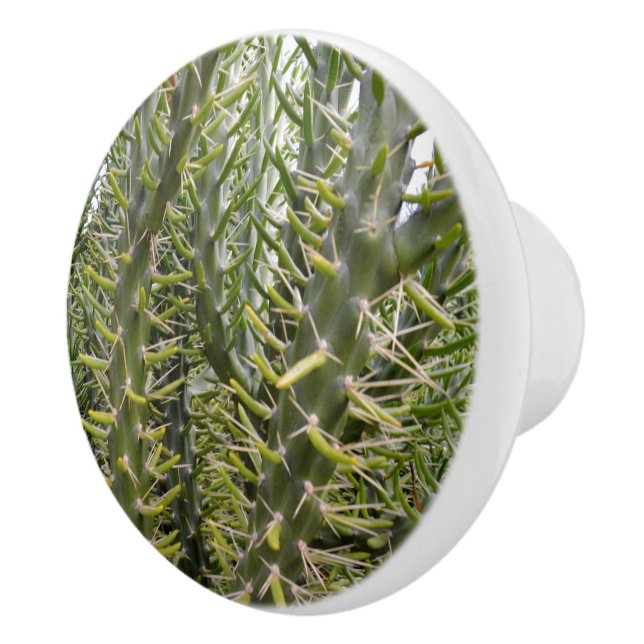 Green Prickly Cactus Trees, Ceramic Knob (Right)