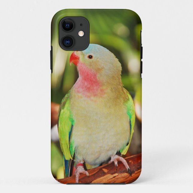 Green princess parakeet print Case-Mate iPhone case (Back)
