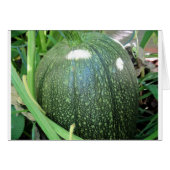Green Pumpkin (Front Horizontal)