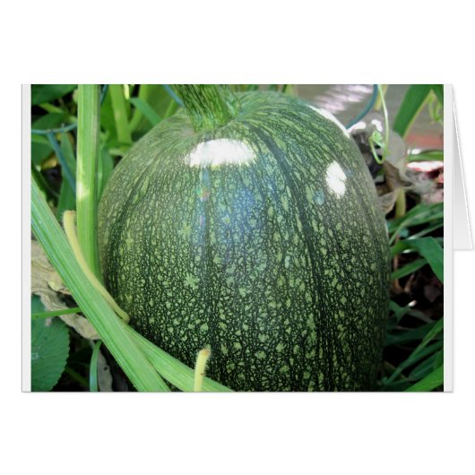 Green Pumpkin (Front Horizontal)