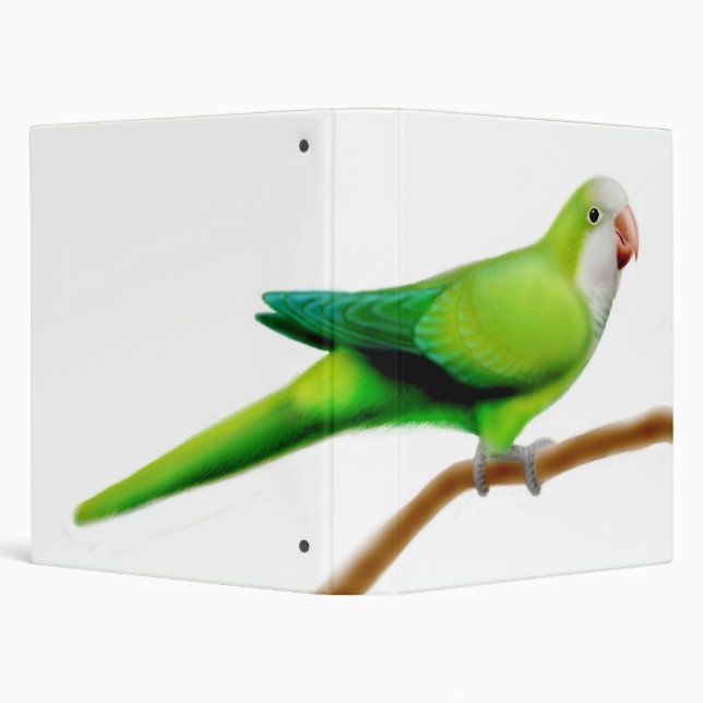 Green Quaker Parrot Avery Binder (Background)