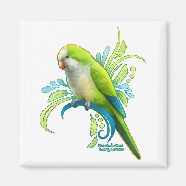 Green Quaker Parrot Magnet (Front)
