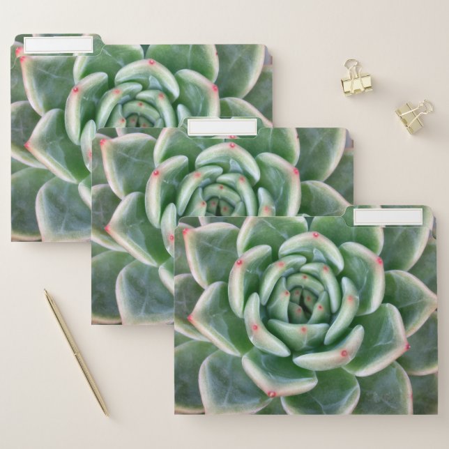 Green Red Tipped Succulent File Folder (Set)