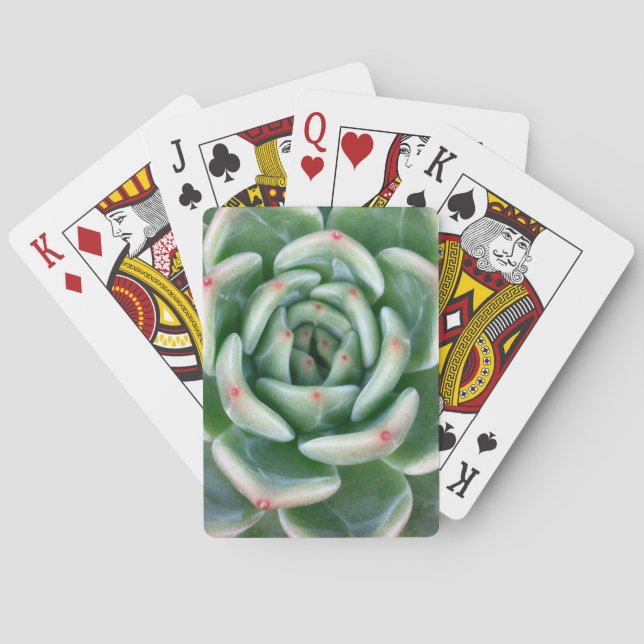 Green Red Tipped Succulent Poker Cards (Back)