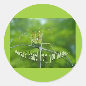 Green Reduviid Haven't Heard From You Sticker by CarolsCamera at Zazzle