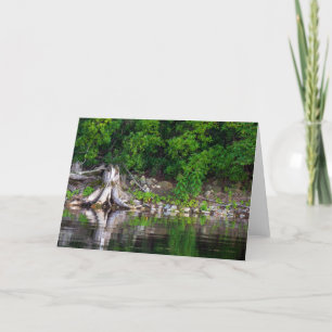Green Reflections Greeting Card