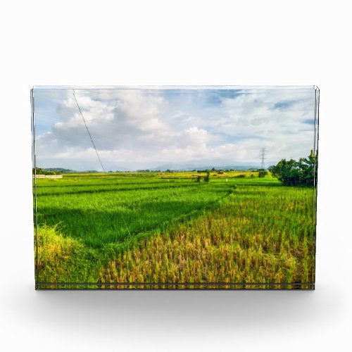 Green Rice Field Farm Photo Block