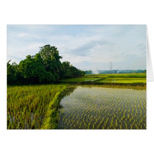 Green Rice Paddy Farm Card