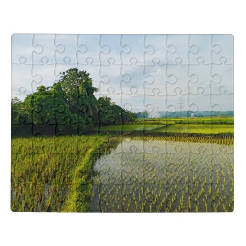 Green Rice Paddy Farm Jigsaw Puzzle