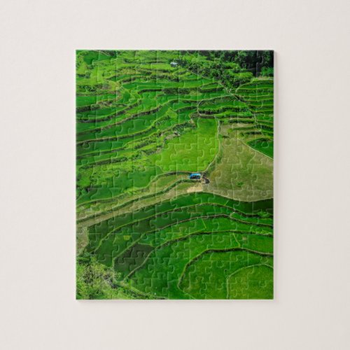 Green Rice terraces Philippines Jigsaw Puzzle