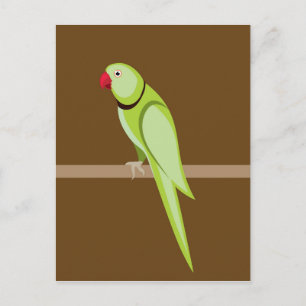 Green ringneck parrot vector postcard