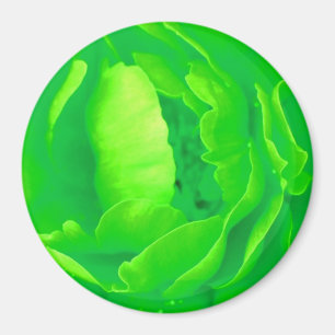 Green Rose Magnet - Customizable