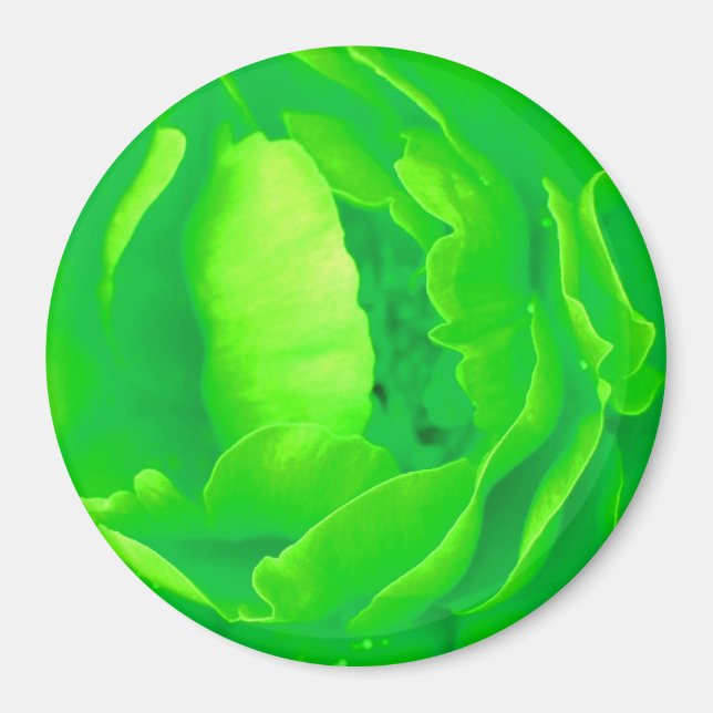 Green Rose Magnet - Customizable (Front)