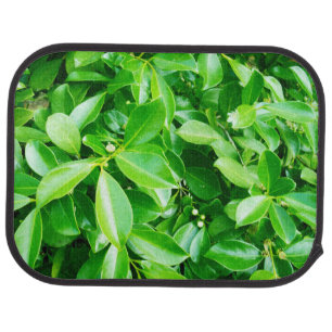 Green Rubber Tree Leaves, Car Mats
