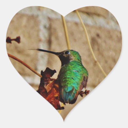 green ruby hummingbird heart sticker