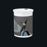 Green Ruby little Hummingbird Beverage Pitcher<br><div class="desc">, Photo by Sandy Closs Hummingbird, Little bird with purple flowers. Rocky Mountain National Park, Colorado, USA adult, color, mountain, broad tailed hummingbird, bee balm, animal, garden flower, national park, forest, male, outdoor, flight, north america, nobody, pollination, reserve, action, rolf nussbaumer, concept, wildlife, flower, iridescent, nature, day, woodland, colorful, bird,...</div>