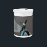 Green Ruby little Hummingbird Beverage Pitcher<br><div class="desc">, Photo by Sandy Closs Hummingbird, Little bird with purple flowers. Rocky Mountain National Park, Colorado, USA adult, color, mountain, broad tailed hummingbird, bee balm, animal, garden flower, national park, forest, male, outdoor, flight, north america, nobody, pollination, reserve, action, rolf nussbaumer, concept, wildlife, flower, iridescent, nature, day, woodland, colorful, bird,...</div>