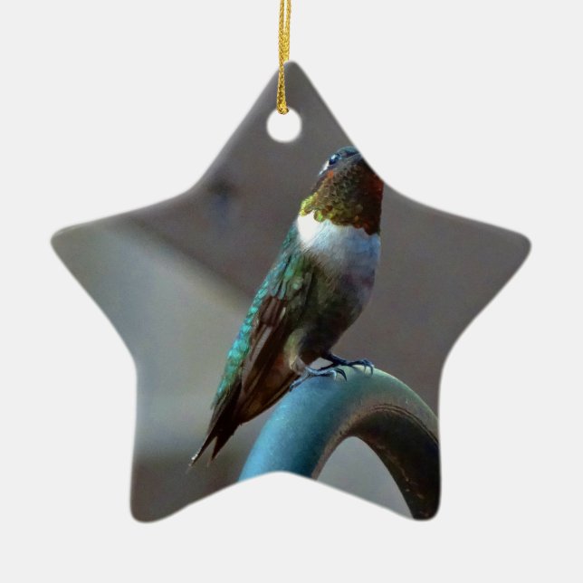 Green Ruby little Hummingbird Ceramic Ornament (Front)