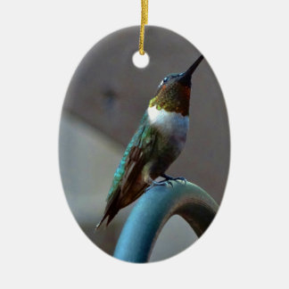 Green Ruby little Hummingbird Ceramic Ornament