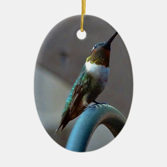 Green Ruby little Hummingbird Ceramic Ornament (Front)