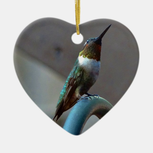Green Ruby little Hummingbird Ceramic Ornament (Front)