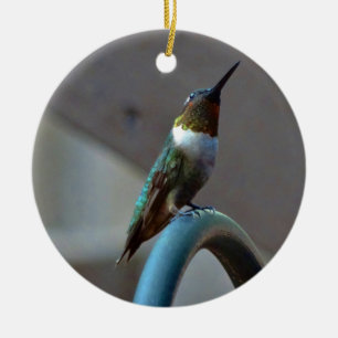Green Ruby little Hummingbird Ceramic Ornament