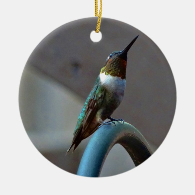Green Ruby little Hummingbird Ceramic Ornament (Front)