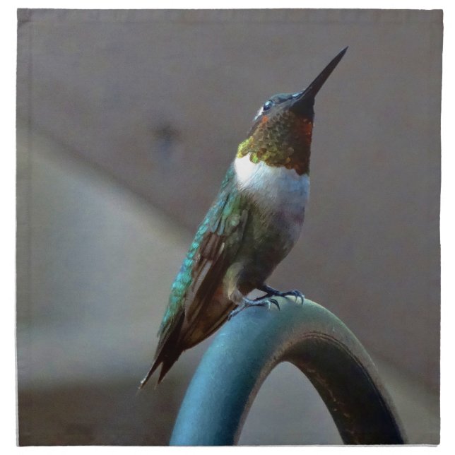 Green Ruby little Hummingbird Cloth Napkin (Front)