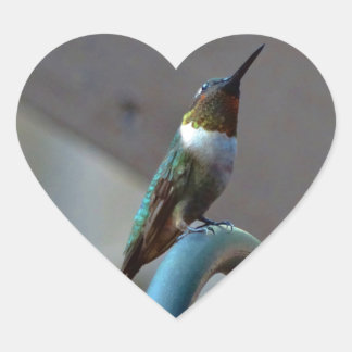 Green Ruby little Hummingbird Heart Sticker
