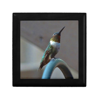 Green Ruby little Hummingbird Jewelry Box
