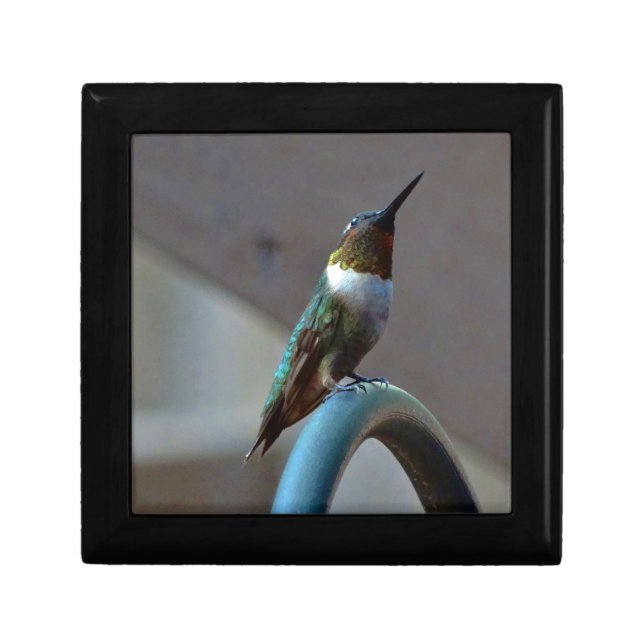 Green Ruby little Hummingbird Jewelry Box (Front)