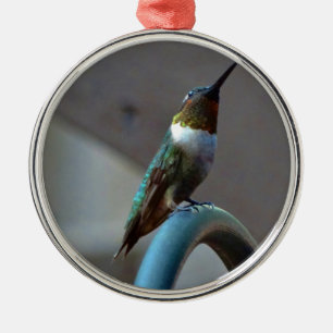 Green Ruby little Hummingbird Metal Ornament