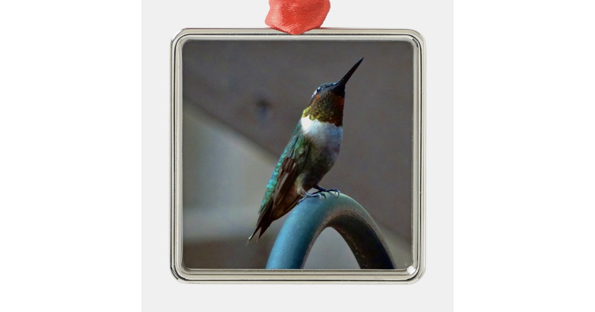 Green Ruby little Hummingbird Metal Ornament | Zazzle